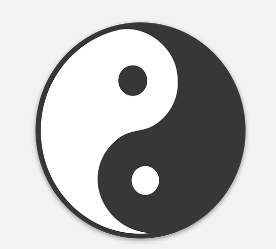 Ying-Yang Magnet ⚫⚪